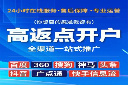 百度竞价运营策略：成功案例解析
